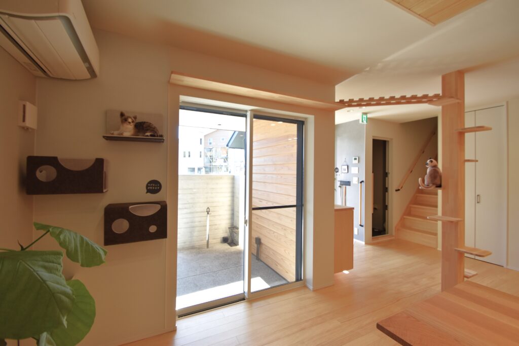 秦野市　暮らしに＋ウェルネスリノベーションスタジオ　ニャン壁　キャットタワー