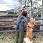 秦野市に移住｜中古住宅とワンコのいる暮らし🐕⑰　～確定申告してみたら税金が戻るかも？～