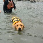 秦野市に移住｜中古住宅とワンコのいる暮らし🐕⑳ ～季節を感じながら暮らすということ～